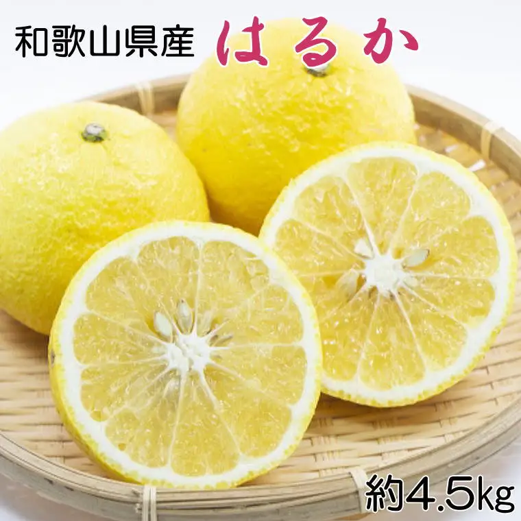 【さわやか柑橘】和歌山県産はるかみかん約4.5kg（サイズ混合　秀品）※2027年2月下旬～2027年3下旬頃順次発送【tec953】