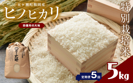 【5回定期】 特別栽培米  四億年の大地（ヒノヒカリ） 5kg×5回