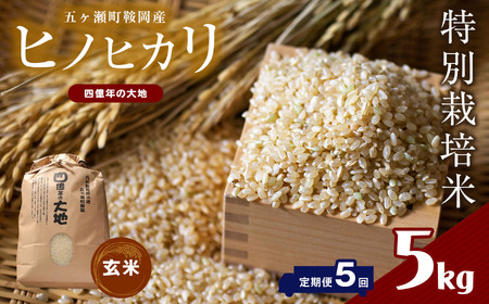 【5回定期】 特別栽培米 四億年の大地米（ ヒノヒカリ玄米 ） 5kg×5回