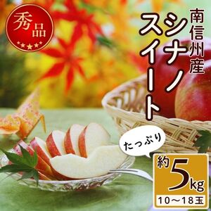 甘味たっぷり！【南信州産】シナノスイート 約5kg 10～18玉＜2026年10月中旬より発送＞