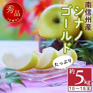 爽やかな風味！【南信州産】シナノゴールド 約5kg 10～18玉＜2026年10月下旬より発送＞