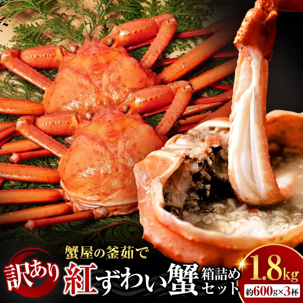 訳あり 蟹 紅ずわい蟹 1.8kg（600g前後×3枚） 境港産 ボイル 冷蔵 大容量 鳥取県産 【鳥取県 境港市】