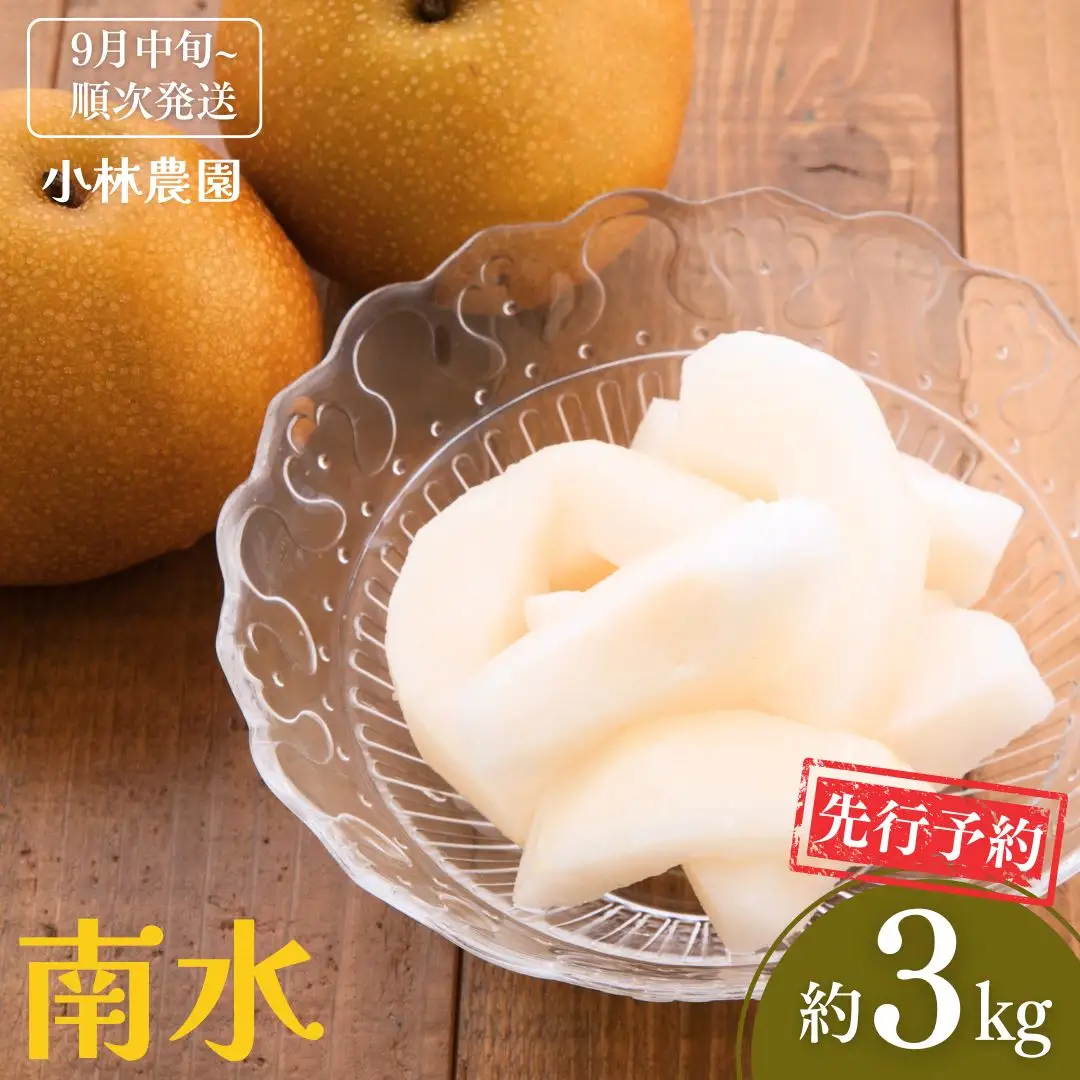 先行予約 和梨 南水 約3kg [9月中旬から発送予定] 令和8年度 新潟県産 梨 [小林農園] 【012S040】