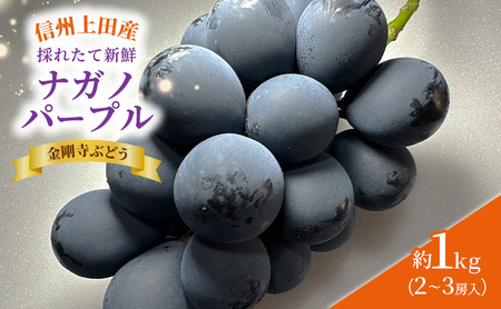 ナガノパープル 信州上田産金剛寺ぶどう 約1kg 2～3房 ぶどう 葡萄 ブドウ 長野パープル 1kg 果物 くだもの フルーツ デザート 旬の果物 旬のフルーツ 長野県 長野