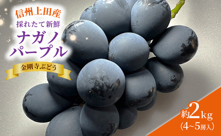 ナガノパープル 信州上田産金剛寺ぶどう 約2kg 4～5房 ぶどう 葡萄 ブドウ 長野パープル 2kg 果物 くだもの フルーツ デザート 旬の果物 旬のフルーツ 長野県 長野