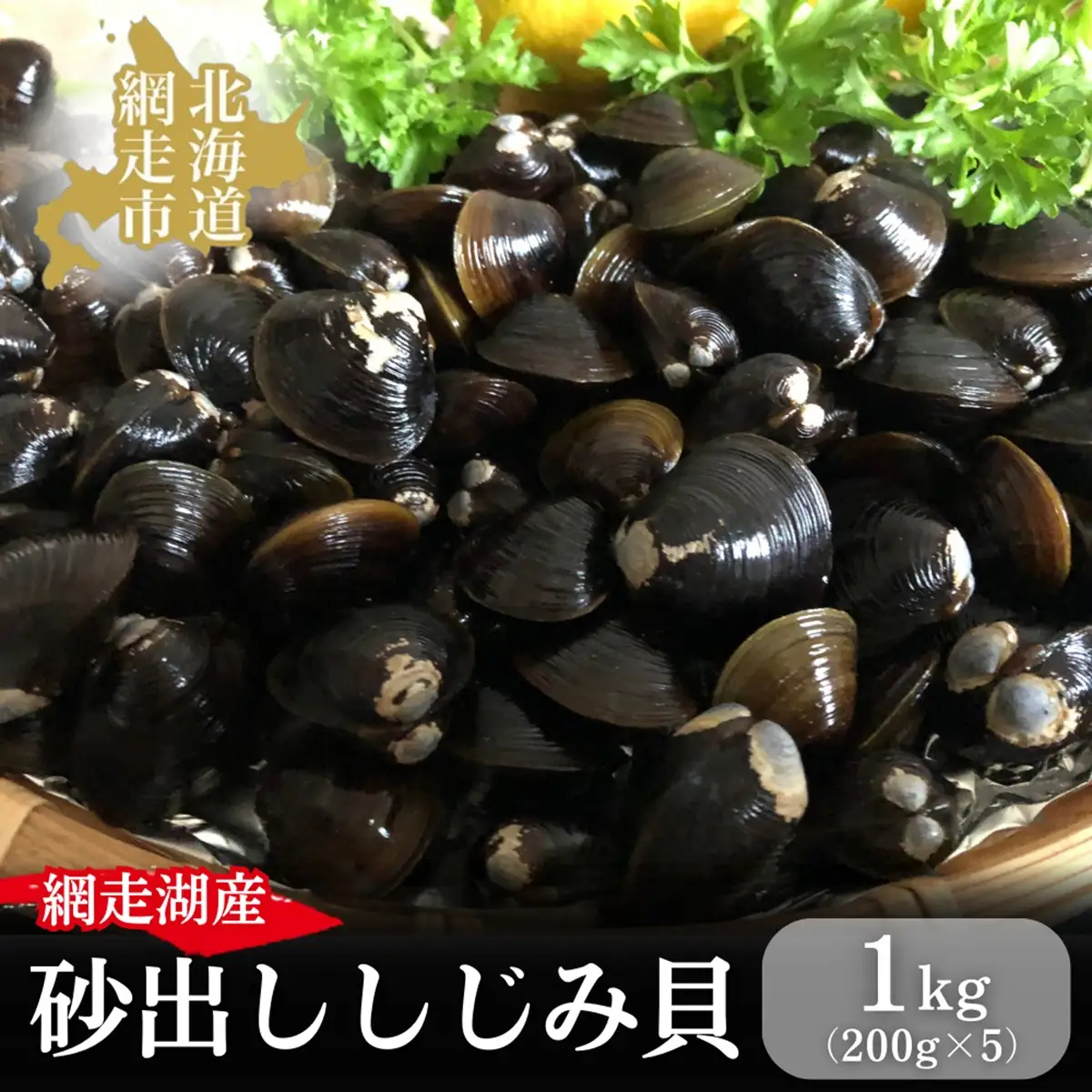 網走湖産の砂出ししじみ貝200g×5袋 【 ふるさと納税 人気 おすすめ ランキング しじみ シジミ 蜆 しじみ貝 シジミ貝 貝シジミ汁 しじみ汁 貝 砂抜き 砂出し 冷凍 1kg 網走湖 網走湖産 オホーツク 北海道 網走市 送料無料 】 ABAO2194