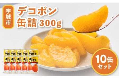 デコポン 缶詰 くまもとの果樹園 10缶 セット