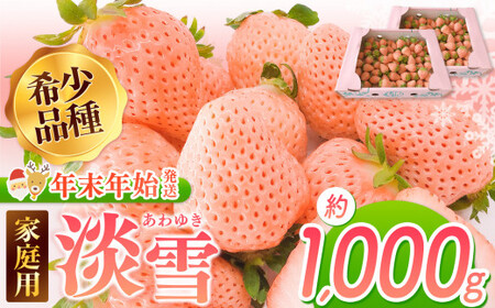 【年末年始発送】白いちご 淡雪 ご家庭用 約1000g ｜ 西谷農園