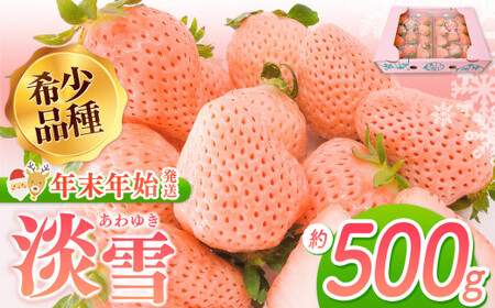 【年末年始発送】白いちご 淡雪 約500g ｜ 西谷農園