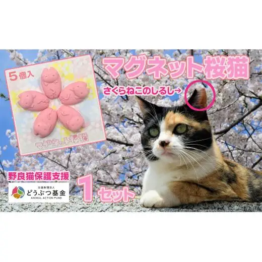 マグネット桜猫　5個入り1セット[野良猫保護支援 保護猫 ねこ のらねこ さくらねこ どうぶつ基金 マグネット 磁石]