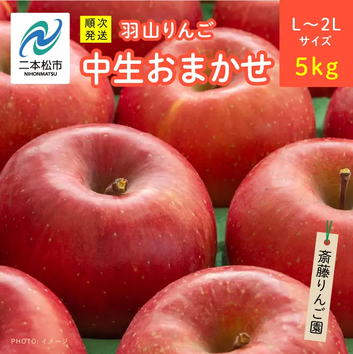 りんご《2026年10月以降順次発送》羽山のりんご 中生おまかせL～2Lサイズ5kg りんご リンゴ 果物 フルーツ【斎藤りんご園】