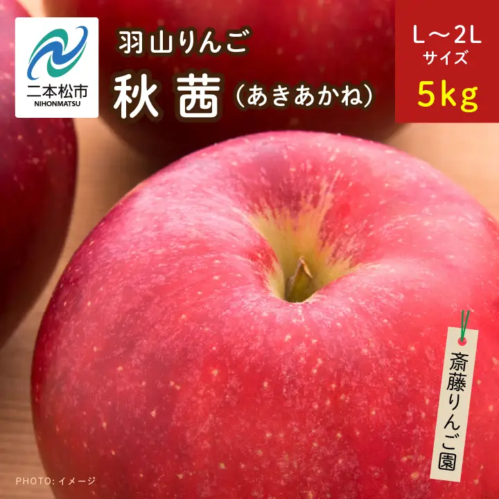 りんご《2026年10月下旬以降順次発送》羽山のりんご 秋茜L～2Lサイズ5kg りんご リンゴ 果物 フルーツ【斎藤りんご園】