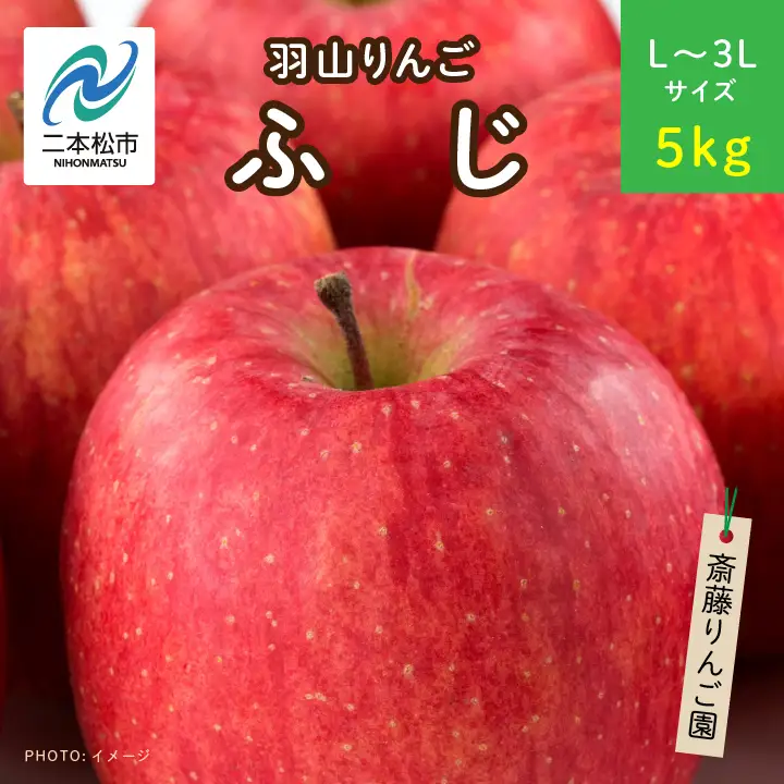 りんご《2026年11月下旬以降順次》羽山のりんご ふじL～3Lサイズ5kg りんご リンゴ 果物 フルーツ【斎藤りんご園】
