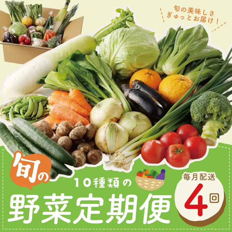 10種類の新鮮野菜 定期便 全4回 詰め合わせ 国産 毎月配送コース