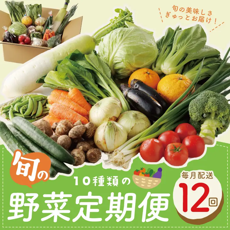10種類の新鮮野菜 定期便 全12回 毎月配送コース