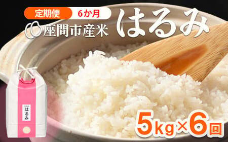 【定期便】6か月 座間市産米 はるみ5kg×6回 | 令和8年産 米 お米 こめ おこめ 白飯 白米 ご飯 ごはん 農家直送 神奈川県 座間市 ※離島への配送不可※2026年10月～発送