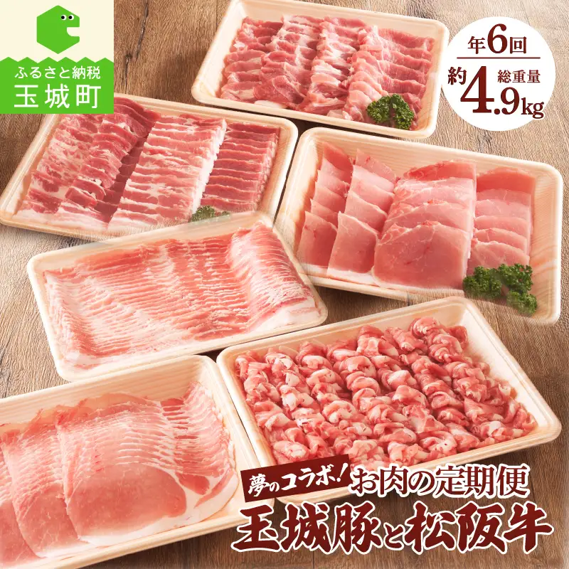 お肉の定期便 玉城豚と松阪肉の夢のコラボ！[定期便 6回 松阪牛 玉城豚]
