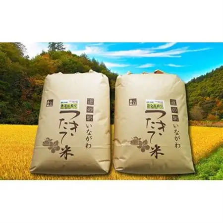 【お米食べ比べセット(玄米)】猪名川町産キヌヒカリ・コシヒカリ(各10kg)【1432252】