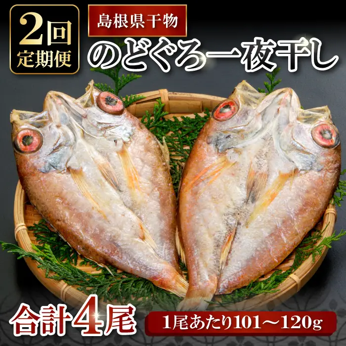 のどぐろ一夜干し 2尾 【2回定期便】【1尾あたり101～120g 2尾 のどぐろ干物 2枚 のどぐろ ノドグロ あかむつ アカムツ 新鮮 干物 一夜干し 個包装 小分け 真空パック 冷凍 贈答 父の日 母の日】