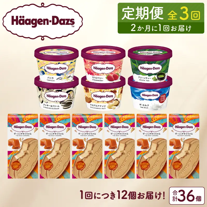 ＜全3回定期便・隔月＞ハーゲンダッツ『ミニカップ＆クリスピーサンドセット(合計36個)』アイスクリーム アイス スイーツ デザート ミルクアイス アイススイーツ アイスデザート_H0016-140