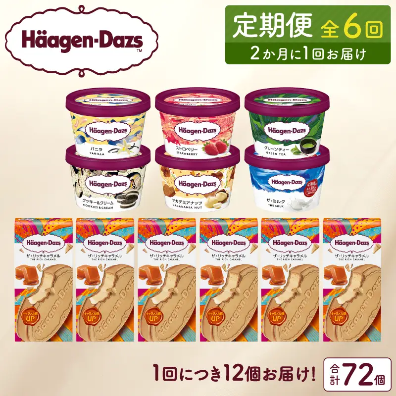 ＜全6回定期便・隔月＞ハーゲンダッツ『ミニカップ＆クリスピーサンドセット(合計72個)』アイスクリーム アイス スイーツ デザート ミルクアイス アイススイーツ アイスデザート_H0016-141