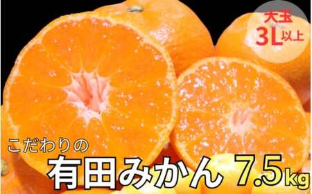 有田 みかん 大玉3L以上 7.5kg 光センサー / 温州みかん 有田みかん 甘い 和歌山 柑橘 ※2026年11月中旬～12月下旬に順次発送 ※北海道・沖縄・離島地域は発送不可 【nuk004-l-7d5B】
