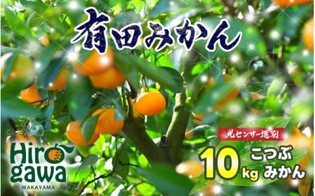 ちっちゃな 有田みかん こつぶみかん 家庭用 10kg （3S～2Sサイズ混合） 光センサー選別 ※2026年11月中旬～2027年1月中旬に順次発送予定 ※北海道・沖縄・離島への配送不可 / 温州みかん みかん 甘い 柑橘 果物 和歌山 【nuk004-s-10B】