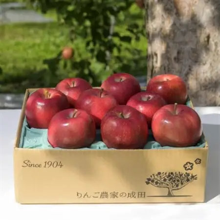 【百年続く青森のりんご農家直送】葉とらずサンふじ 　約3kg　贈答用【12月から発送開始】_果物・フルーツ りんご  リンゴ 林檎_【配送不可地域：離島】【1506061】