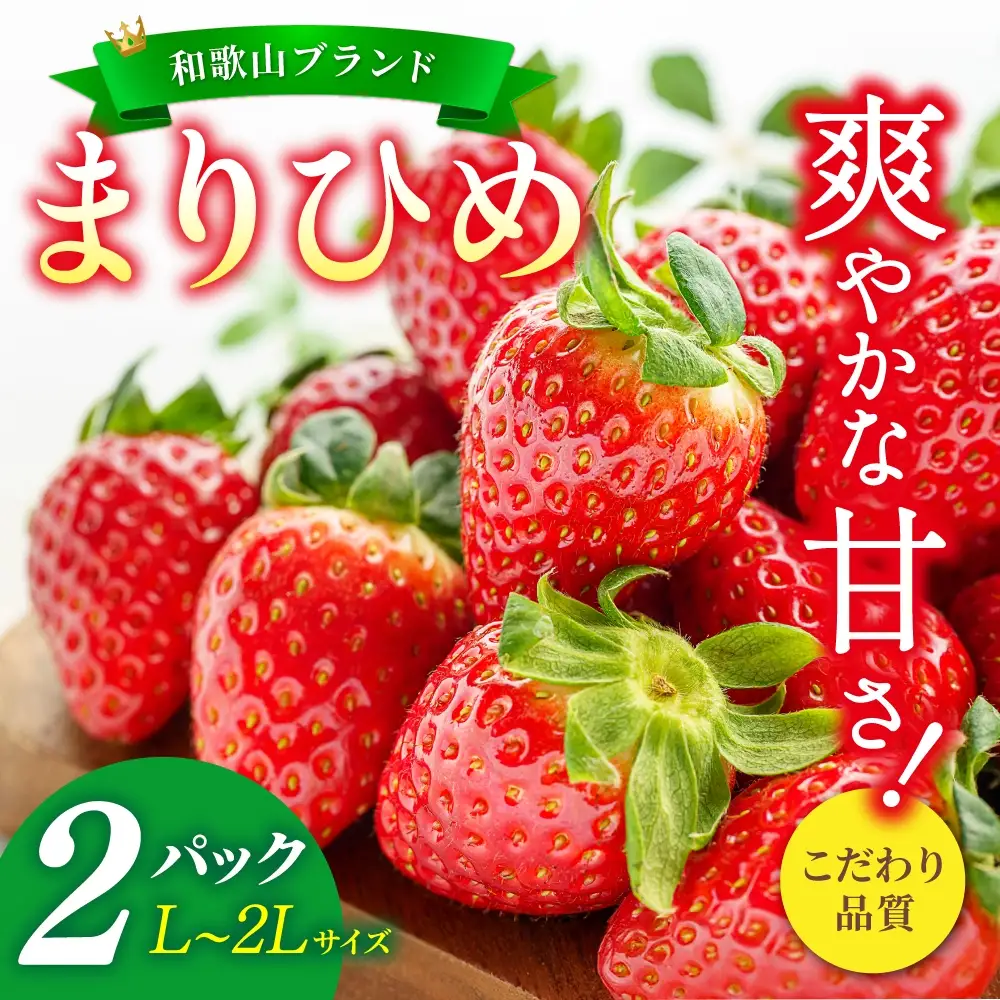 【先行予約】まりひめ いちご 12粒～15粒入り×2パック（500g）2027年1月中旬頃～2027年3月下旬頃に順次発送予定（お届け日指定不可）/ いちご 苺 まりひめ 和歌山 フルーツ 果物 くだもの【kgr007B】
