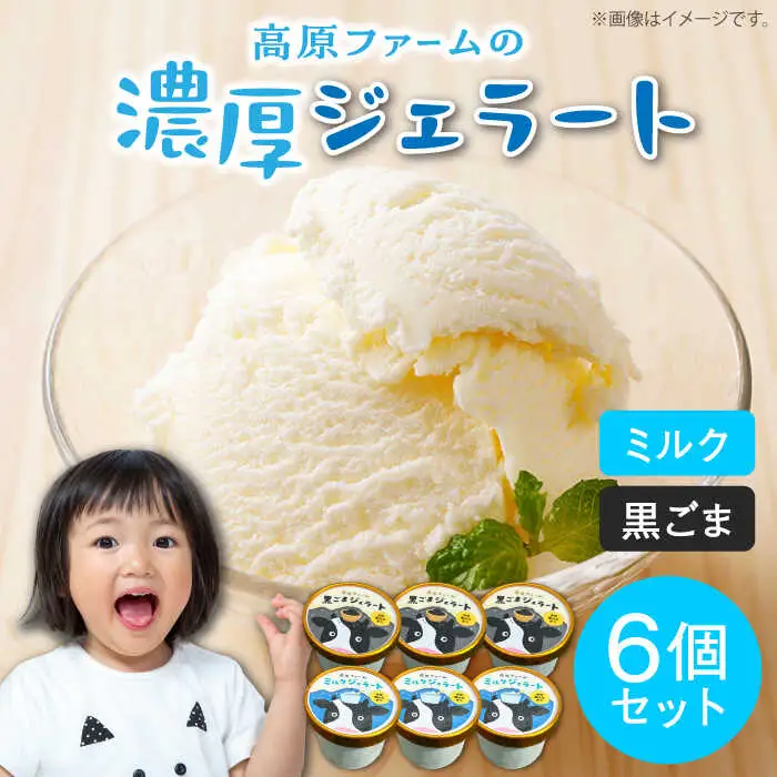 ジェラート ミルク3個 黒ゴマ3個 計6個入り / ジェラート じぇらーと アイスクリーム あいすくりーむ スイーツ デザート / 南島原市 / 高原ファーム [SFP002] 