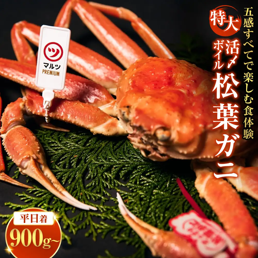＜平日着※指定日不可＞【マルツPREMIUM】活〆ボイル松葉蟹(特大900g～) 【鳥取県 境港市】