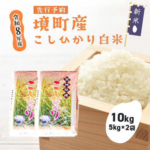 米 コシヒカリ 10kg 新米 国産 米 S264