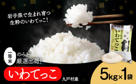 米 いわてっこ 5kg《30日以内に出荷予定(土日祝除く)》 岩手県 九戸村 一等米 精米 白米 お米