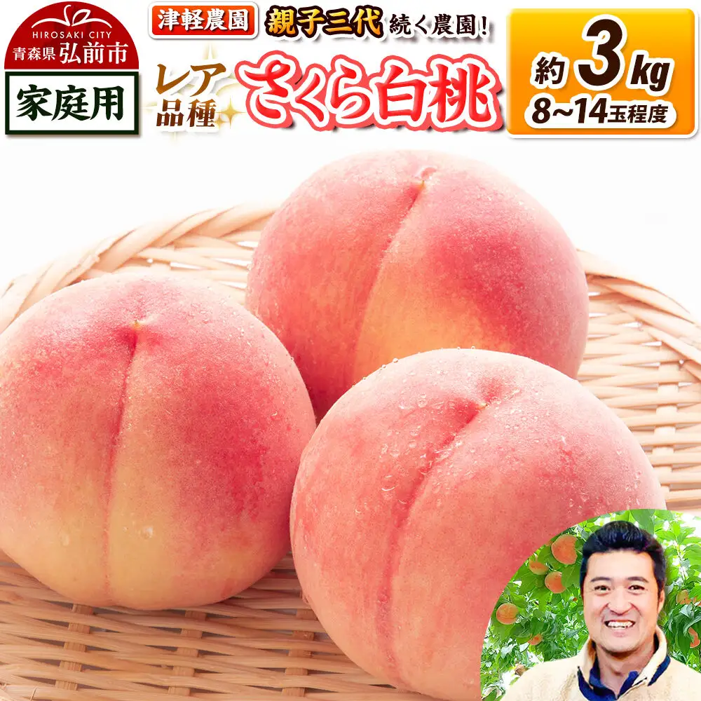【26年9月発送】桃 約3kg(8～14玉程度) 青森【2026年産 レア品種 さくら白桃】もも 家庭用 くだもの フルーツ 果物 津軽農園 採れたて 農家直送