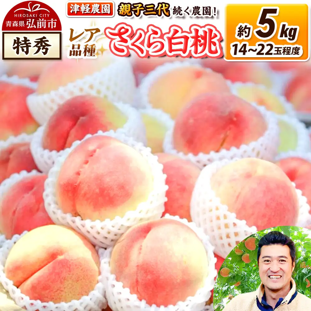 【26年9月発送】桃 約5kg(14～22玉程度) 青森【2026年産 レア品種 さくら白桃】もも 特秀 くだもの フルーツ 果物 津軽農園 採れたて 農家直送