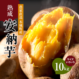 【先行予約】農家直送 木城町産 熟成安納いも10㎏ K30_0002_1