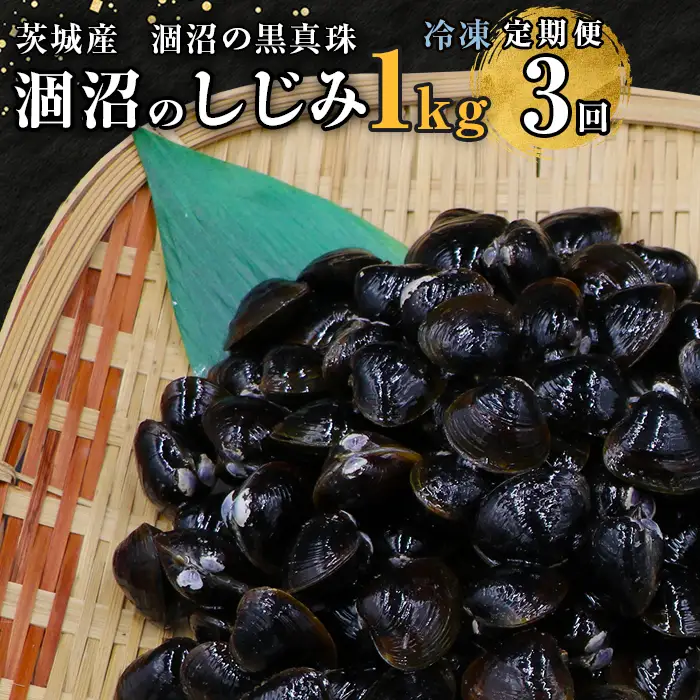 453 しじみ 定期便 1kg 冷凍 砂抜き 500g × 2袋 × 3回 ひぬま やまと シジミ 涸沼 大和 【3ヶ月連続お届け】