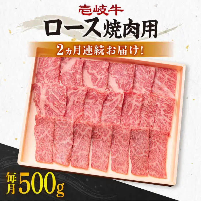 【全2回定期便】壱岐牛ロース焼肉用500g [JBO116] 64000 64000円
