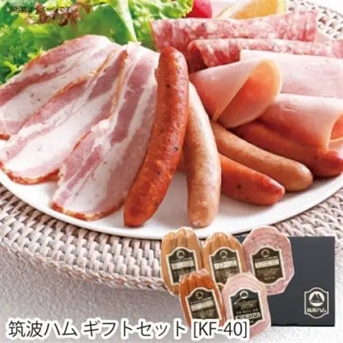 筑波ハムギフトセットKF-40_肉 ハム 豚肉   肉 ソーセージ・ウインナー 豚肉 _【配送不可地域：離島・沖縄県】【1365140】