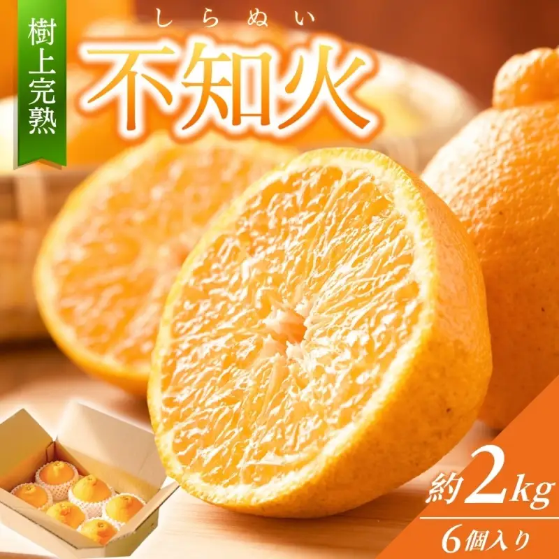 【先行予約】【数量わずか】樹上完熟しらぬい（不知火） 約2kg(6個) 秀品 2027年2月末～2027年3月末頃に順次発送予定（お届け日指定不可）/ 和歌山 みかん しらぬい 不知火 フルーツ 柑橘 蜜柑 果物 くだもの【kgr005】