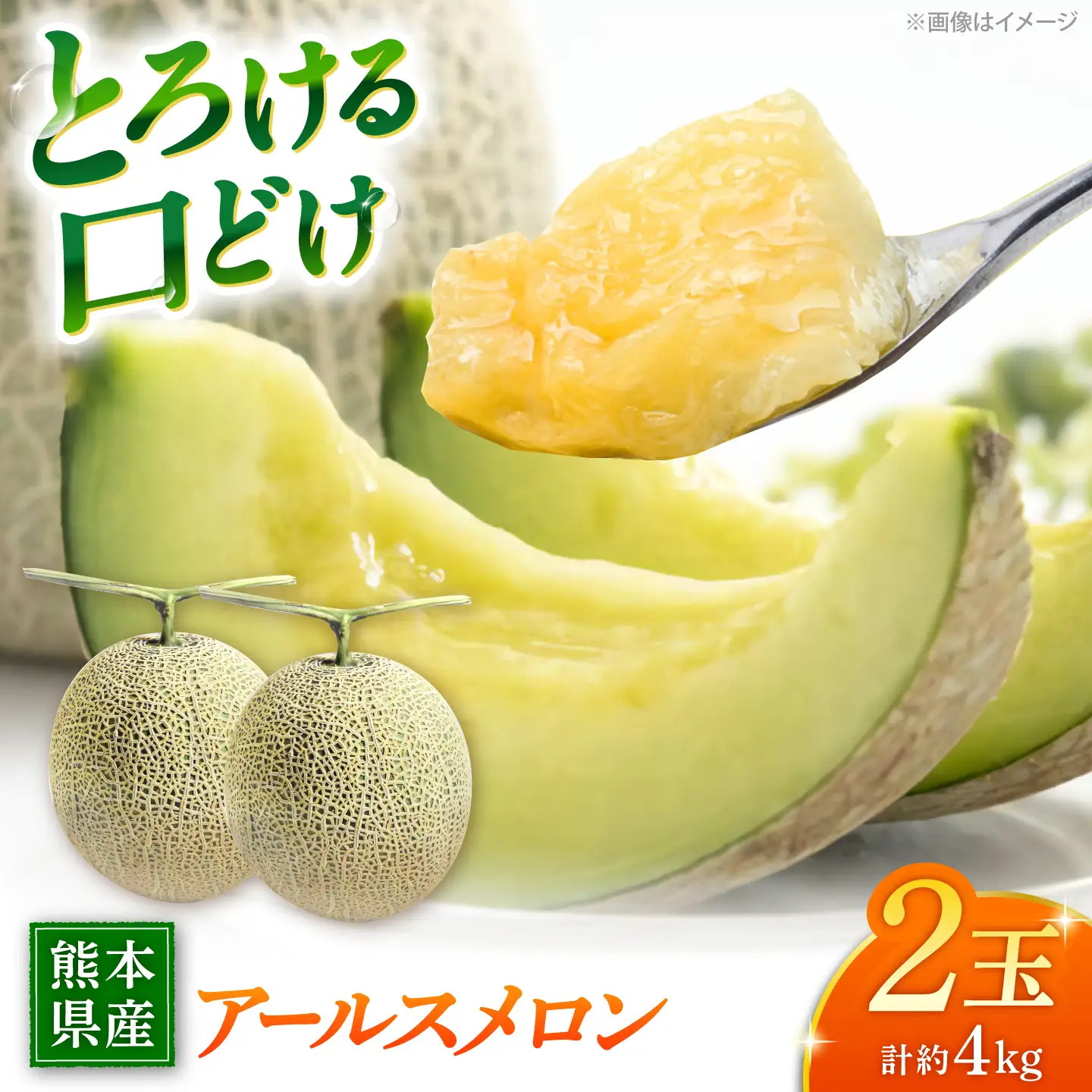 【先行予約】アールスメロン 約4kg（2L?）2玉入【道の駅 水辺プラザかもと】[ZEG001]