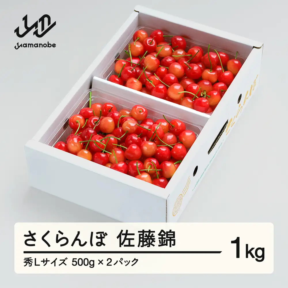 《先行予約》 さくらんぼ 佐藤錦 秀Lサイズ プレゼント ギフト バラ詰め 1kg(500g×2パック) 2027年産 令和9年産 山形県産 ns-snslb1