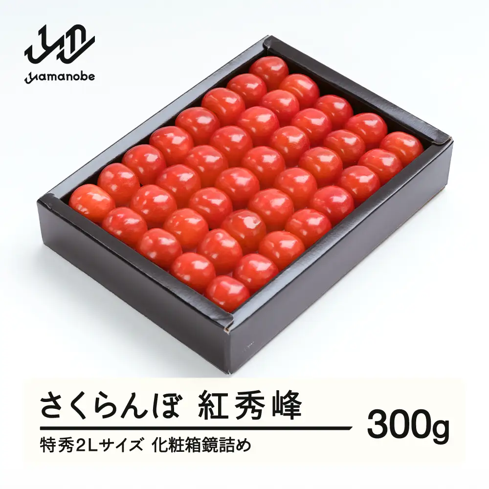 《先行予約》 さくらんぼ 紅秀峰 特秀2Lサイズ 300g 化粧箱鏡詰め 2027年産 令和9年産 山形県産 ns-bst2x300