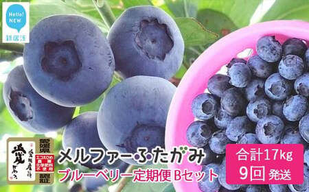 【定期便】 ブルーベリー三昧Bセット（約17kg／9回発送） 完熟生ブルーベリー（8月中旬以降は冷凍ブルーベリー） エコえひめ認証