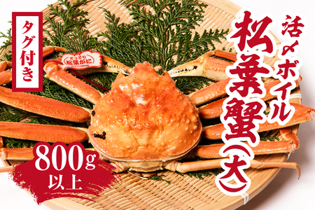 【北海道・沖縄・離島配送不可】【マルツPREMIUM】【タグ付き】活〆ボイル松葉蟹800g以上 松葉ガニ 松葉がに カニ かに 境港 マルツ