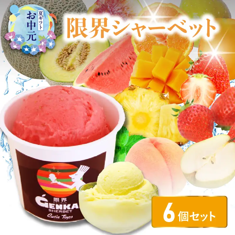 【お中元ギフト】 限界シャーベット 6個セット ≪7/1～8/9の期間に発送≫