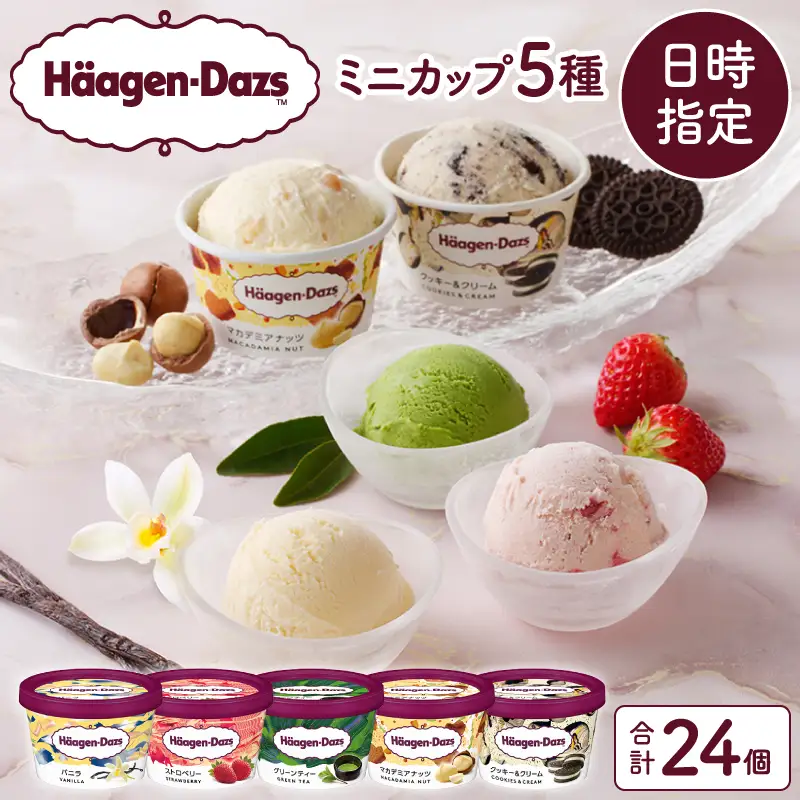 ハーゲンダッツ 『定番ミニカップ5種(計24個)』 アイス アイスクリーム_H0016-133