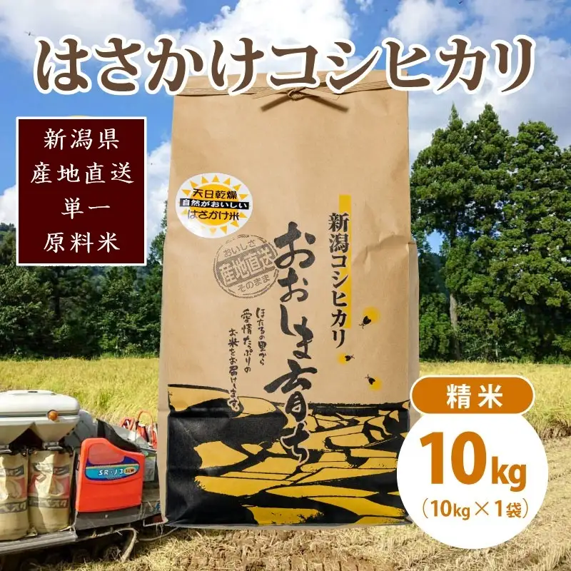 【数量限定】コシヒカリ 大島区産 精米 コシヒカリ 10kg(10kg×1)