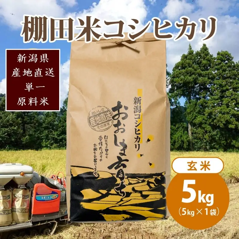 【数量限定】コシヒカリ 大島区産 玄米 コシヒカリ 5kg(5kg×1)