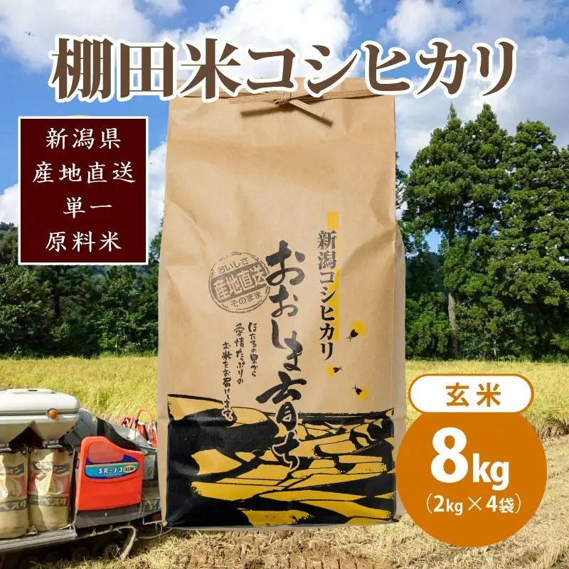 【数量限定】コシヒカリ 大島区産 玄米 コシヒカリ 8kg(2kg×4)